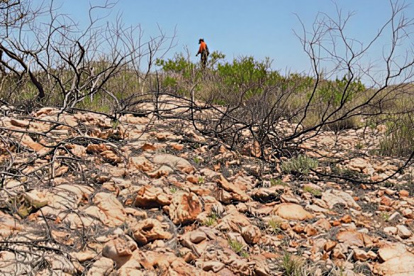 Litchfield Minerals’ Silver Valley Two prospect stole the show during a scout review of the company’s Silver Valley project area in the NT, boasting the strongest vein outcropping and most extensive historic workings noted during the visit.
