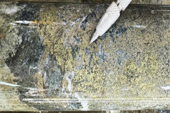 Skarn-hosted mineralisation with semi-massive chalcopyrite and pyrite from 603.0m, including 5.1g/t gold, 1.6% copper and 14.9g/t silver, at Strickland Metals’ Shanac deposit, which is part of the company’s Rogozna gold and base metal project in Serbia.