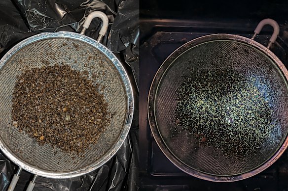 Strong visual scheelite mineralisation under UV light from drilling at Viking Mine’s Linka tungsten project in Nevada, USA.