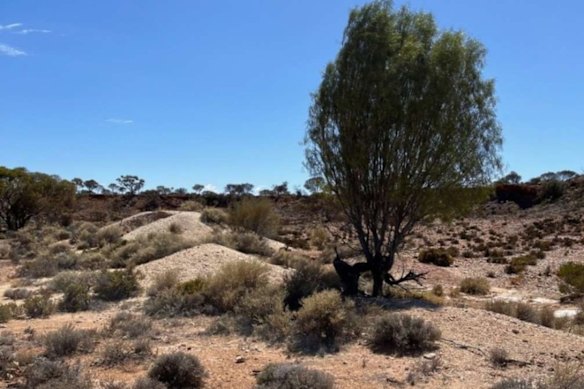 Historical workings north of Great Southern Mining’s Mon Ami gold project in Western Australia. 