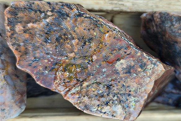 Infini Resources split core from drillhole sample H091491 reveals visible uraninite along joint surfaces and fractures from a depth of 28m. Analysis of 1m of core, including this sample, returned 124ppm uranium oxide.