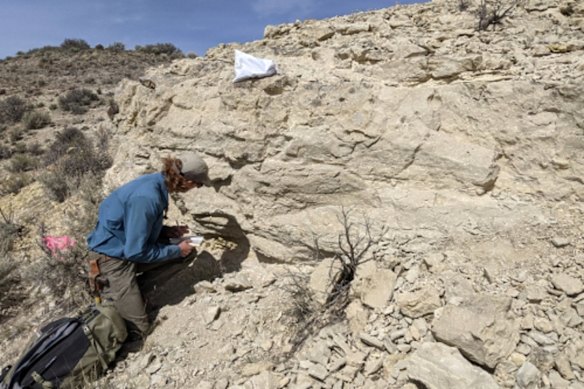 Chariot Corporation’s share price rocketed 225 per cent to 32.5 cents a share after Washington said it was eyeing a 10 per cent stake in Thacker Pass - right next door to Chariot’s Resurgent claystone lithium project in Nevada.