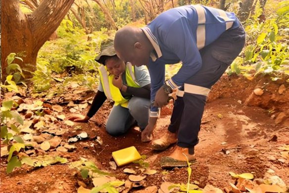 Dalaroo Metals soil geochemical sampling has defined a 4.3km gold anomaly at the company’s Bondoukou project in West Africa, landing a peak soil result of 2188ppb gold.