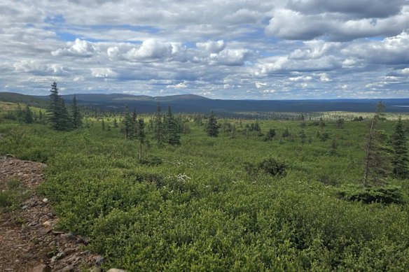 

Iron Bear’s namesake project sits in Labrador, Canada, one of the country’s premier iron ore districts.