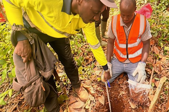 Dalaroo Metals’ field crews open up soil sampling lines at the Goldridge prospect within the company’s Bondoukou project in Côte d’Ivoire.