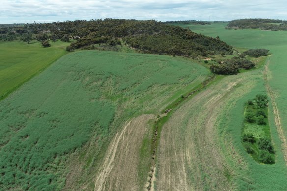 A drone image of Lincoln Minerals’ Kookaburra graphite project near Port Lincoln in South Australia.