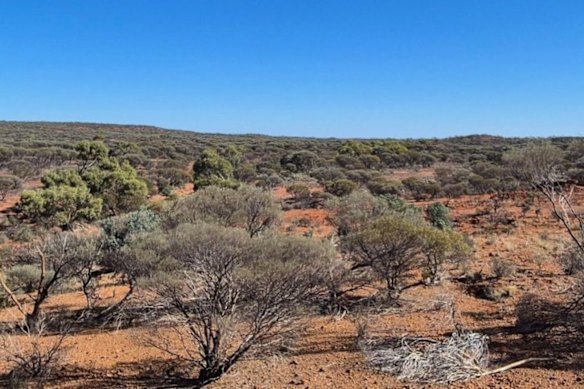  Platina Resources Mt McKenna gold project 13 kilometres east of Laverton in WA.