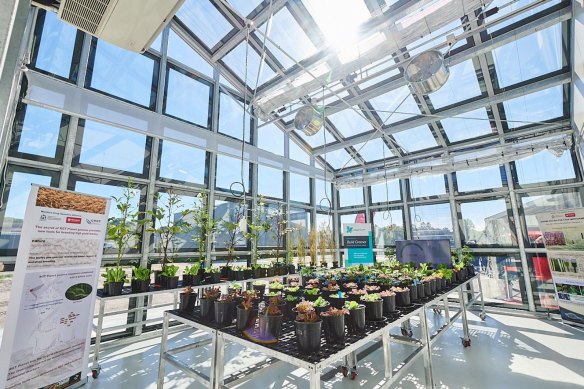 ClearVue has been developing a solar window product suitable for greenhouses and will now add “temperature optimization and irrigation by condensation” technology developed out of Israel to its agricultural kit bag.