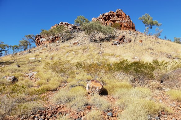 King River Resources will soon begin drilling its two, priority buried Kuiper geophysical targets, which could represent iron oxide copper gold deposits (IOCG) in its suite of mineral licences near the historic NT mining centre of Tennant Creek. Tennant Creek is well-known for the IOCG style. 