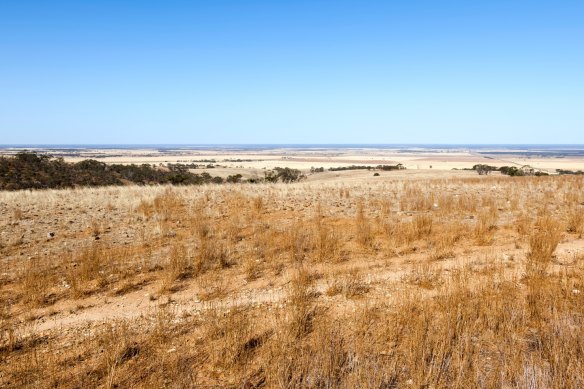 South Australia’s Eyre Peninsula has become a hotspot for uranium exploration.