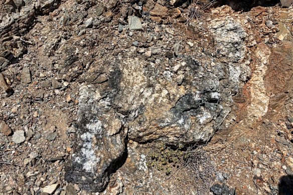 Dateline clocks 7.1 per cent uncommon earths in California