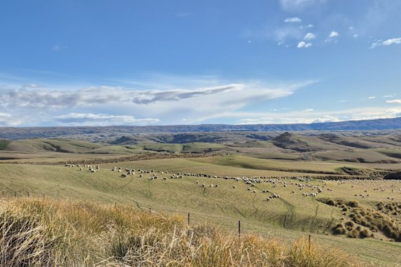 Critical Resources Lammerlaw gold project in the Central Otago schist gold belt, 50 to 100 kilometres west-northwest of Dunedin on the South Island of New Zealand.