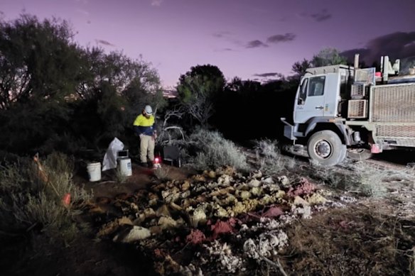 Aircore drilling at Critica Mineral’s Jupiter rare earths project, near Yalgoo in WA’s mid-west region.