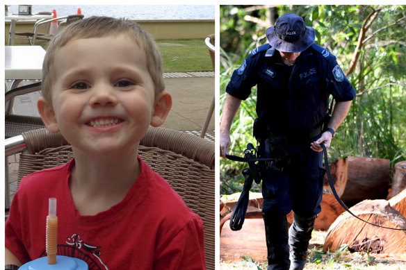 Police continue to search for William Tyrrell.