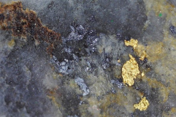 Stunning shows of visible gold in drilling at Aureka Ltd’s Comstock prospect in Victoria.