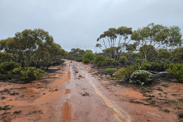 Projeto homônimo da McLaren Minerals na Bacia Eucla, na Austrália Ocidental, onde realizou uma monstruosa atualização de recursos.