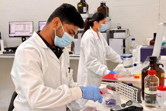Syngenis Labs scientists at work at its Perth facilities, where the company is building an integrated RNA and DNA platform and an Australian end-to-end pathway from discovery to regulated manufacturing.
