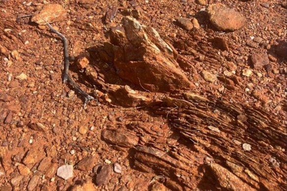 Benz Mining’s Glenburgh project area contains an extensive outcrop that offers clues to the local structural architecture, such as the fold style, orientation and fabric, which support Benz’ targeting model.