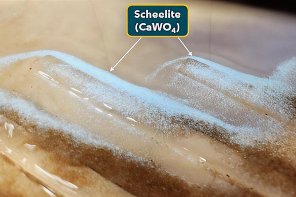 Viking Mines’ testwork separation of the tungsten mineral scheelite (white) from waste minerals (brown) via Wilfley table gravity concentration obtained an assayed table-concentrate grade of 18 per cent tungsten trioxide.