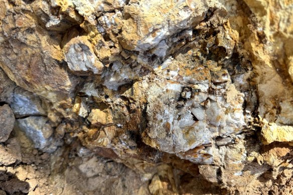 Dart Mining has revealed a new high-grade gold hit at its historic Rushworth project in Victoria.
