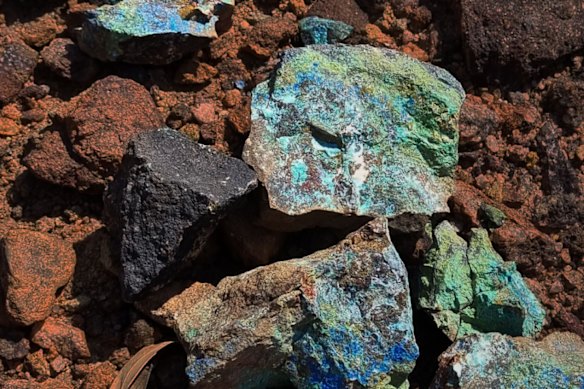 Litchfield Minerals’ latest reverse circulation drilling at its Oonagalabi project in the Northern Territory has defined exceptional indications of a potentially large polymetallic copper-zinc-silver system.