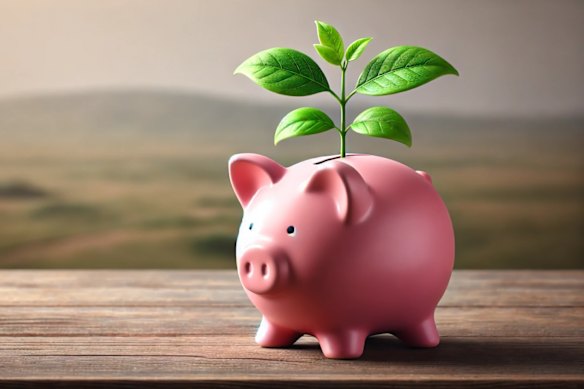Kids and Plus portfolios delivered hefty gains of 26.3% and 22.4%, respectively, comfortably outrunning a 4.7% lift in customers for the 3rd quarter.