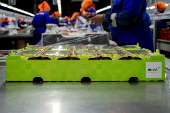 Africa’s largest packaging provider Mpact has signed an exclusivity deal with Zoono group for its shelf-life extension product.