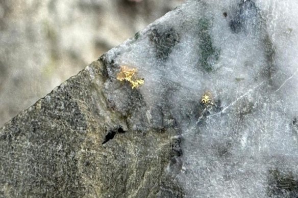 Stunning visible gold in drilling at Advance Metals’ Happy Valley gold project in the prolific Victorian goldfields.