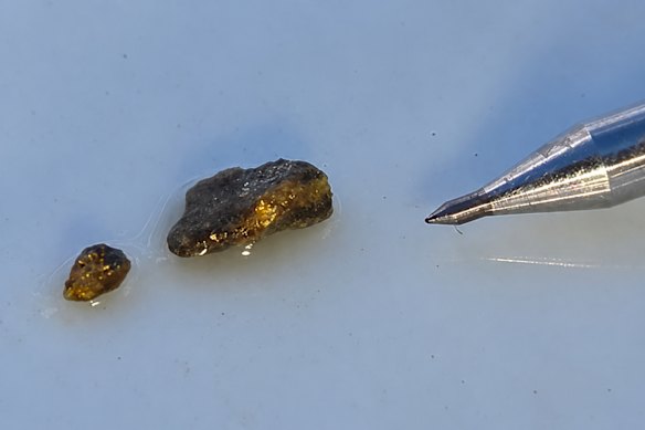 Visible gold in reverse-circulation chips from Golden Boulder at Great Southern Mining’s Duketon gold project in Western Australia. Scribe included for scale.