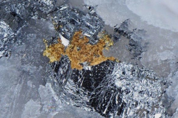Gold and stibnite in quartz vein at Pacgold Limited’s St George project in Northern Queensland. 