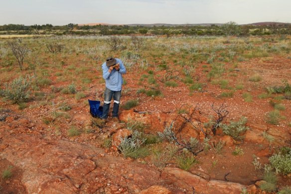Tambourah Metals’ Bryah basin gold project north of Meekatharra in Western Australia.