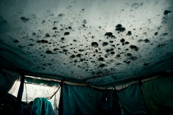 Detainees alleged humidity caused mould to grow in tents, with water dripping onto them as they slept as depicted in this AI-generated image.
