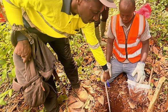 Dalaroo Metals’ field crew open soil sampling lines at the Gold Ridge prospect, part of the company’s Bondoukou gold project in Côte d’Ivoire.