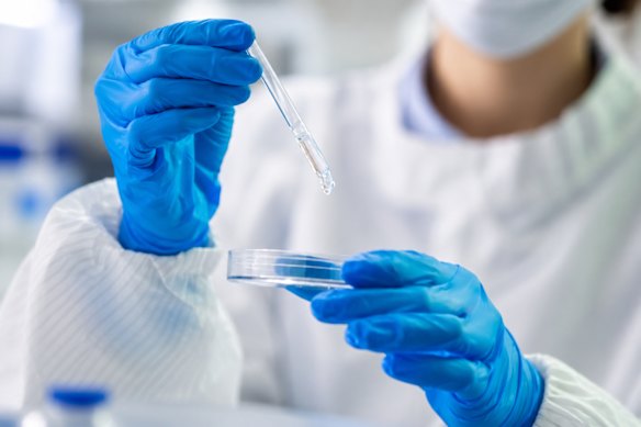 Amplia Therapeutics is preparing to recruit patients for its Phase 2 PRROSE ovarian cancer trial after finalising the study plan for its narmafotinib combination treatment.