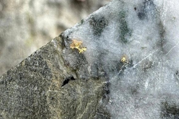 Visible gold in previous drilling at Advance Metals’ Happy Valley gold project in the prolific Victorian goldfields.