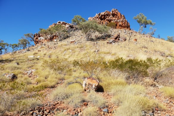King River Resources has discovered a quartz-hematite zone at the Langrenus prospect within its Tennant Creek East project in Australia’s Top End.