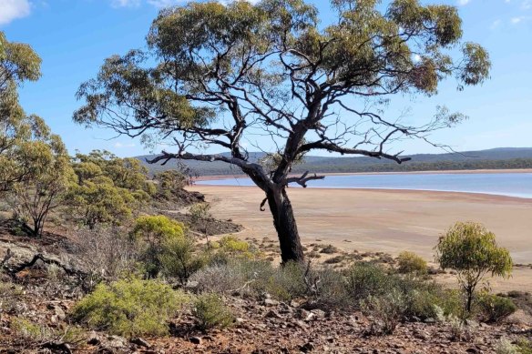 Auric Mining and the Ngadju People have inked a historic native title agreement spanning the entire 102,000 km² of Ngadju Country in Western Australia.
