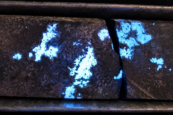 Critica Limited’s tungsten mineralisation in scheelite fluorescing under ultraviolet light at Mt Lindsay in Tasmania, where drill core returned 147m at 1 per cent tin and 0.2 per cent tungsten trioxide.