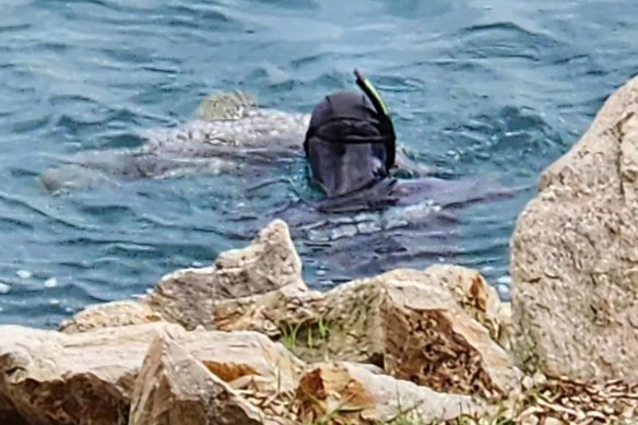 An image shared by Dr Daryl McPhee of one of three men alleged to have illegally speared and killed a protected species of groper at Amity Point on North Stradbroke Island.