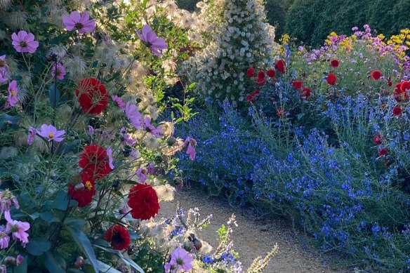 David Glenn has never shied away from colour at Lambley Nursery. 