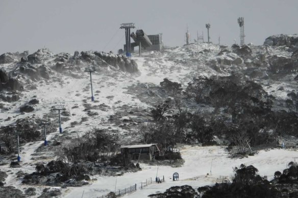 Thredbo residents are experiencing snowy conditions on Saturday. 