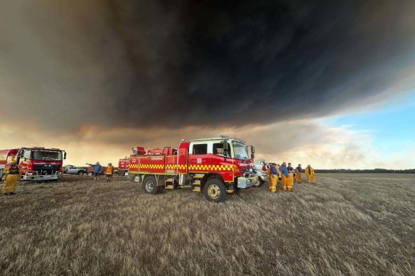 Volunteers survey the Little Desert National park fire in western Victoria.