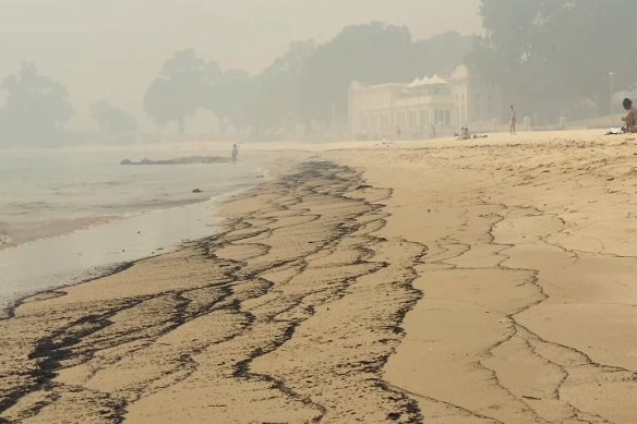 Ash washes ashore at Balmoral Beach during summer.