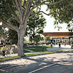 Woollahra train station