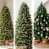 Christmas trees to buy