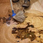 Floor that hadn’t been mopped in 10 years gets a deep clean.