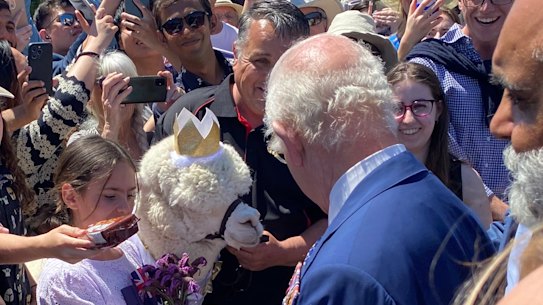 King Charles meets Hephner the Alpaca.