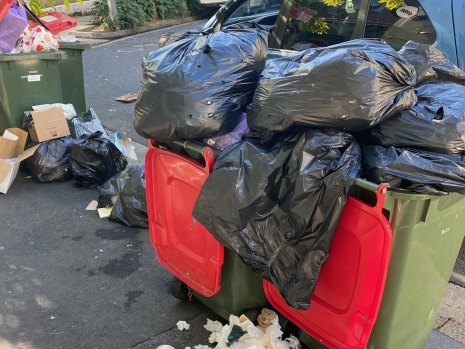 ‘The smell. Oh my God’: Anger grows over Sydney’s rubbish collection debacle