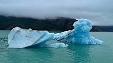 Seen is one of the bright blue icebergs we passed on the way to the glacier.