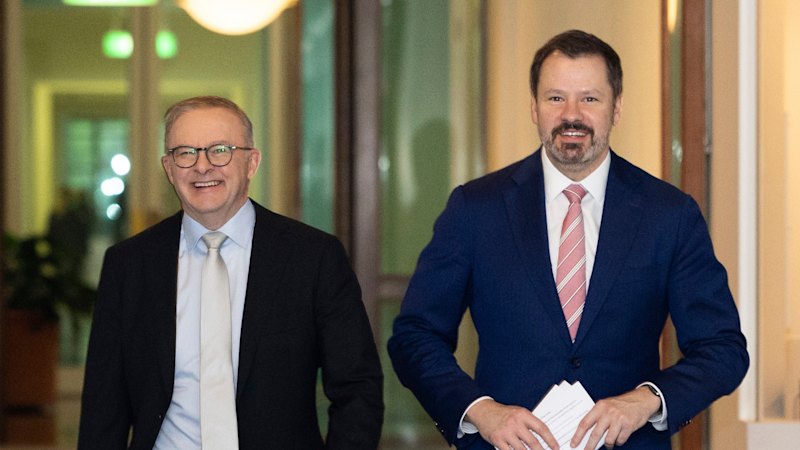 ‘Unshackle the economy’: Labor MP pushes Chalmers on growth, speculates on PM retirement